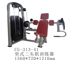 桂林CG-313-41 商用坐式推肩訓(xùn)練器健身房肩部推舉綜合器材推肩器二頭肌神器