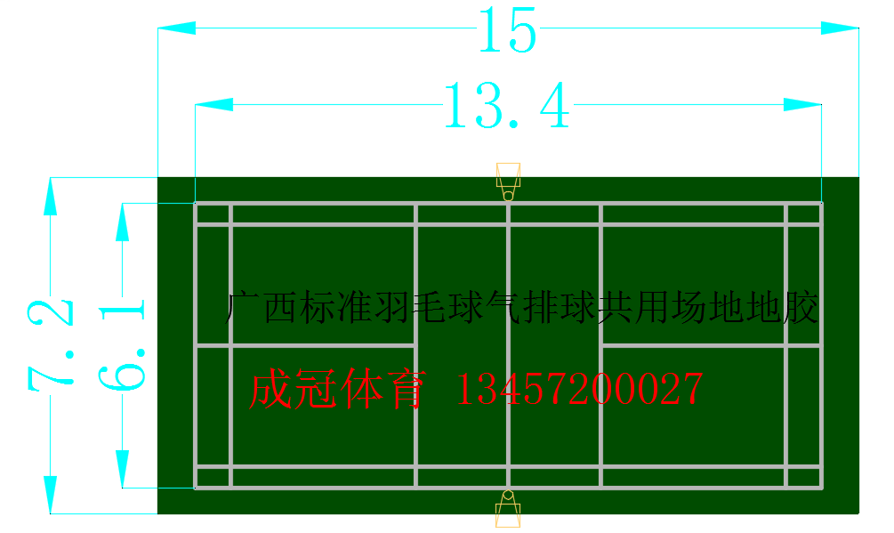 廣西標(biāo)準(zhǔn)羽毛球氣排球共用場地地膠